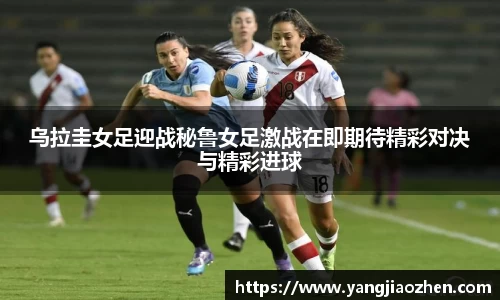 完美体育365平台官网